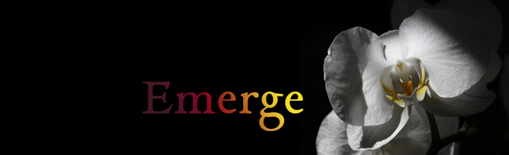 Emerge: post-retreat artshare